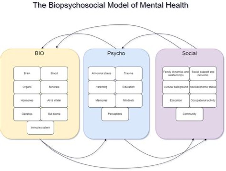 “according to the biopsychosocial model