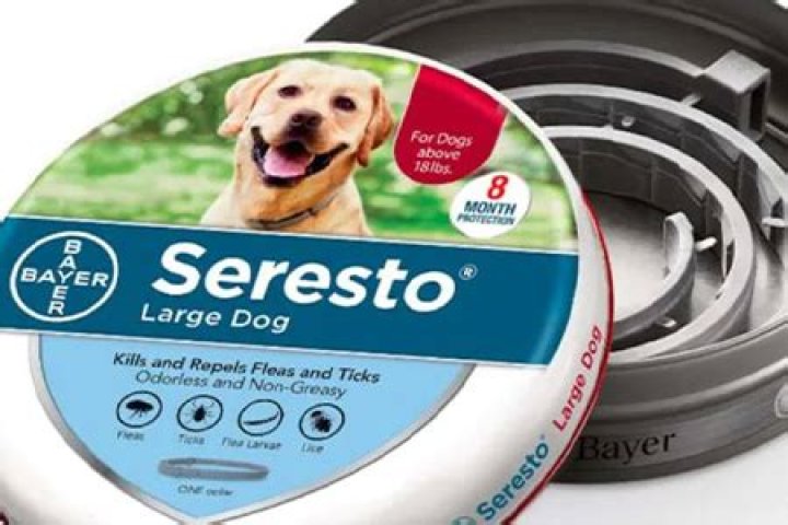 are seresto collars safe
