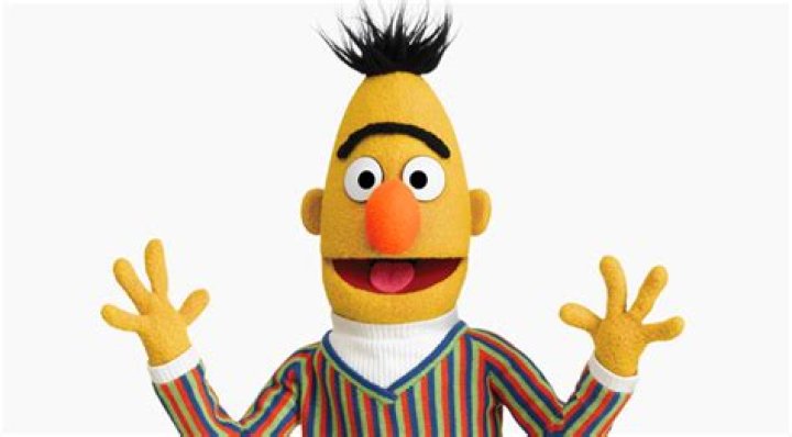 bert from bert and ernie