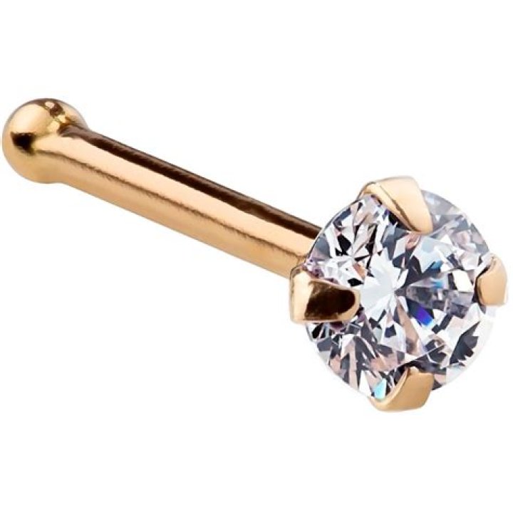 bone nose ring