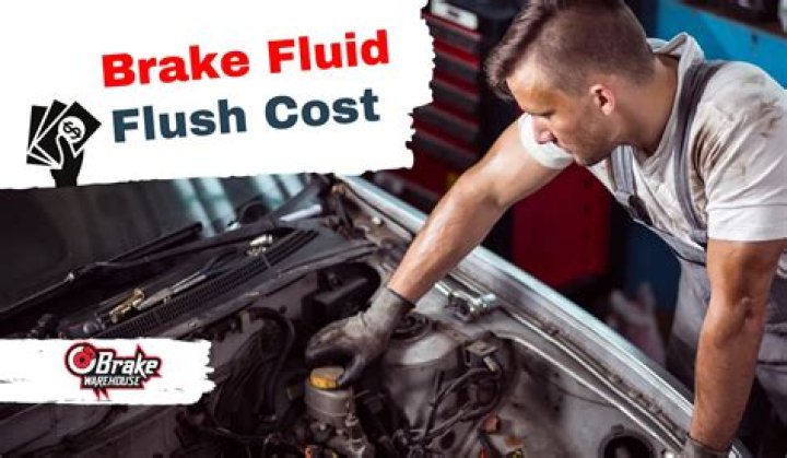 brake fluid cost