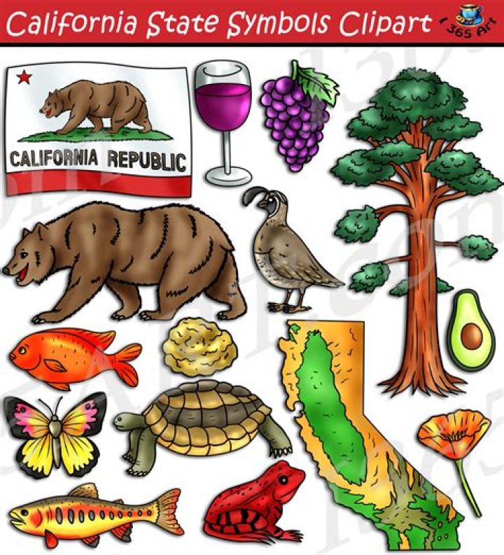 california state symbols