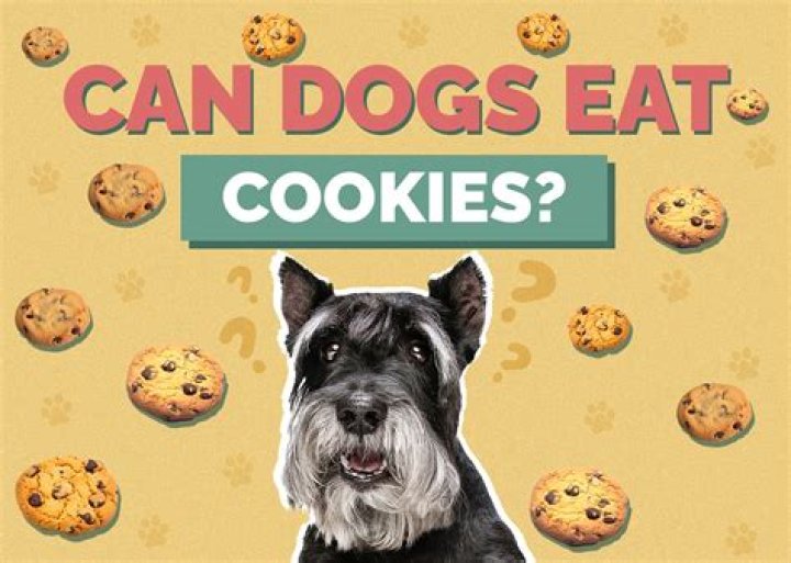 can dogs eat cookies