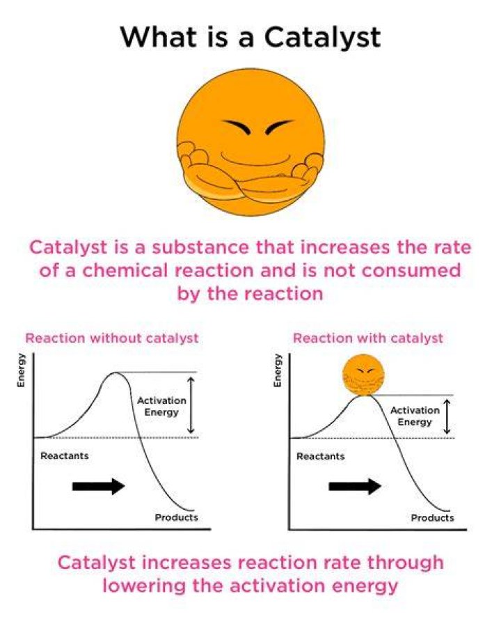 catalyst in a chemical reaction