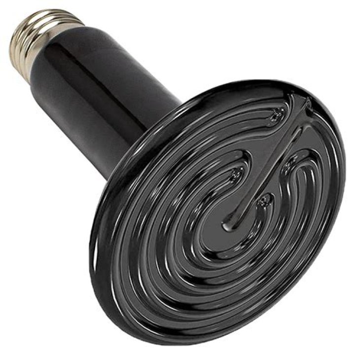 ceramic heat lamp