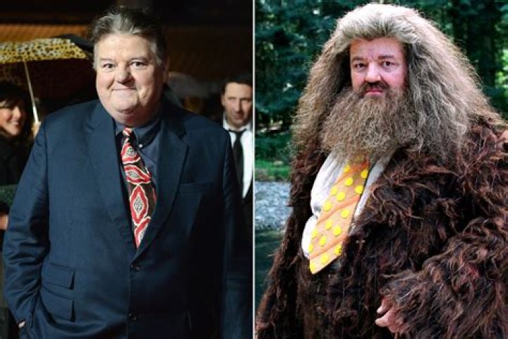 did hagrid die