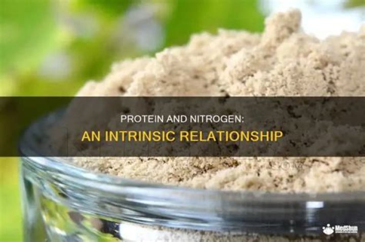 do proteins contain nitrogen