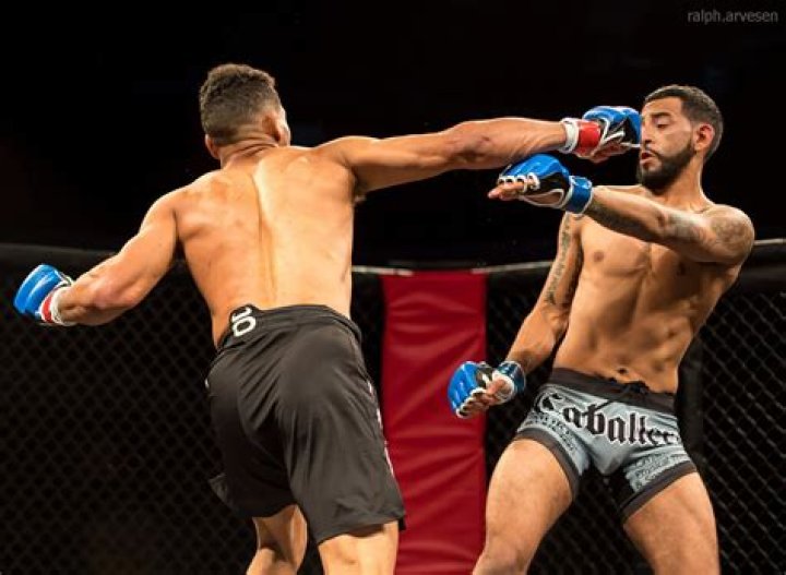 do ufc fighters wear cups