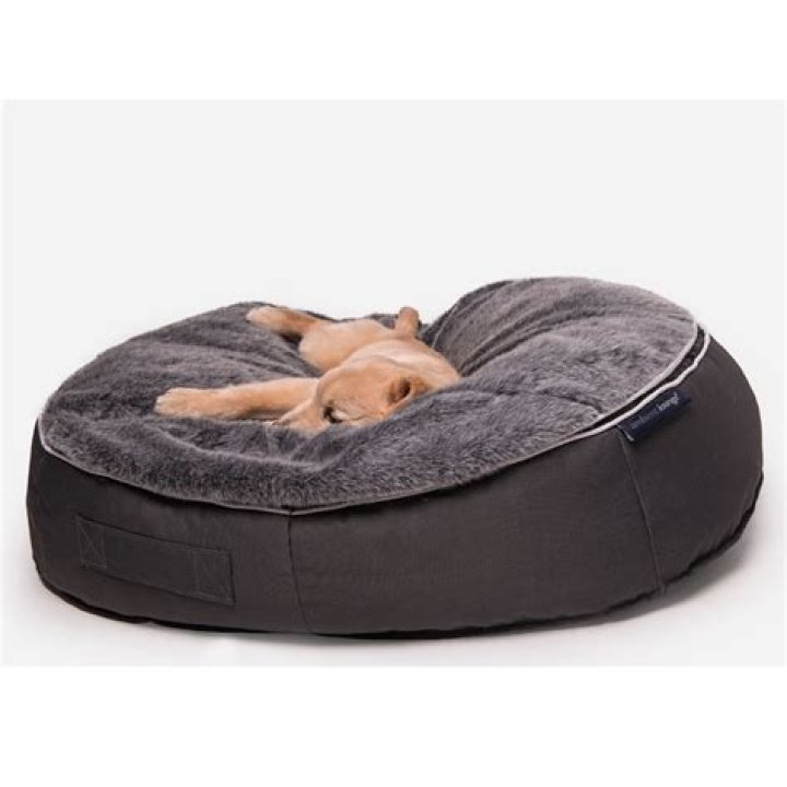 dog bean bag
