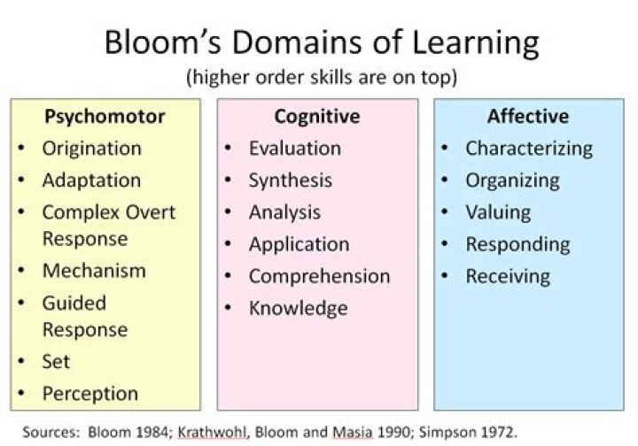 domains of learning