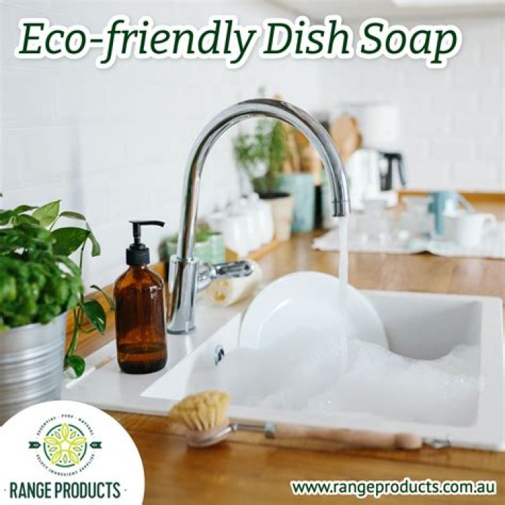 eco friendly dish soap
