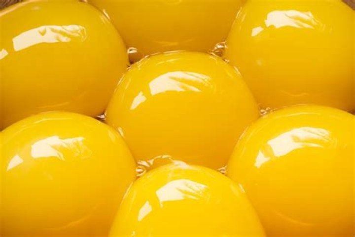 egg yolks good for you