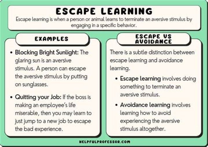 escape learning