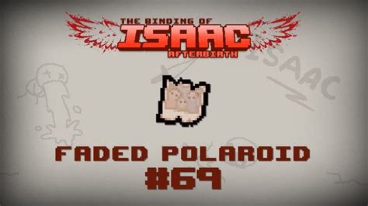 faded polaroid isaac