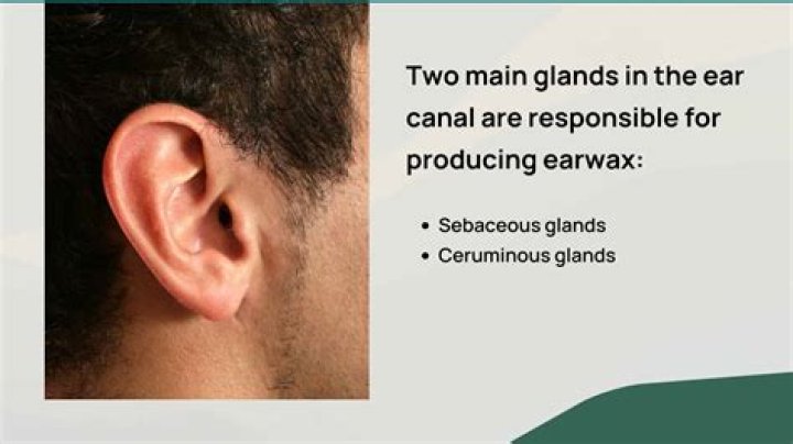 gland behind ear