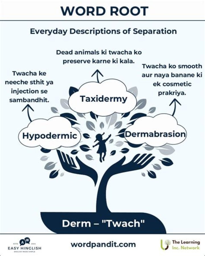 greek root derm