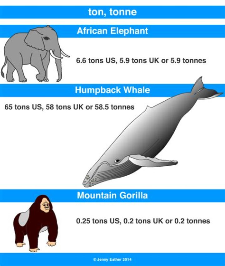 how much does 1 ton weigh