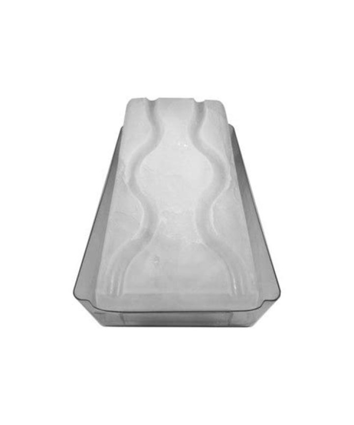ice luge mold