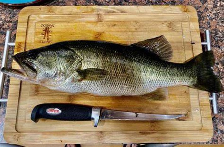 is bass good to eat