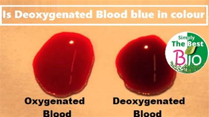 is deoxygenated blood blue
