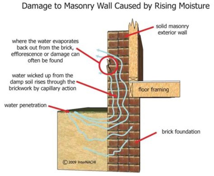 is efflorescence harmful
