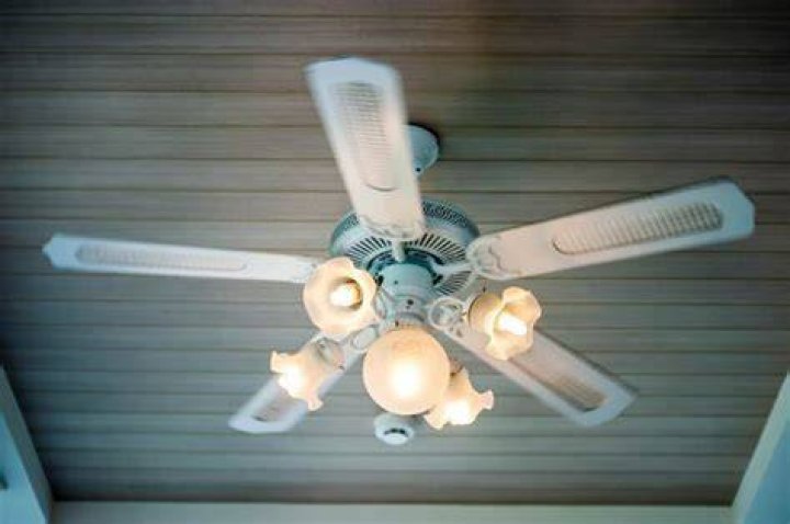 light bulbs for ceiling fans