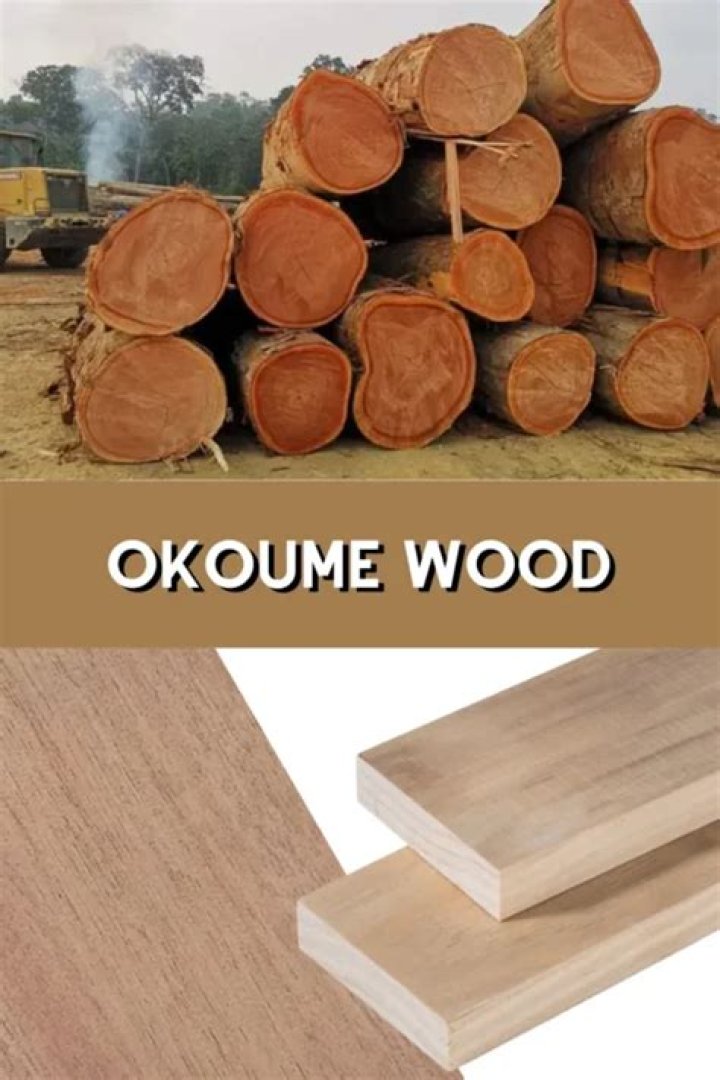 okoume wood