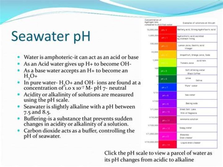 ph of seawater