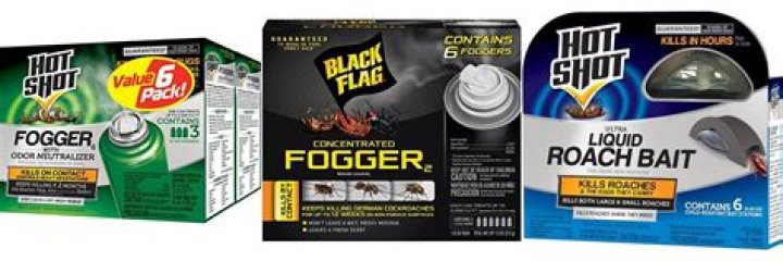 roach bomb for car