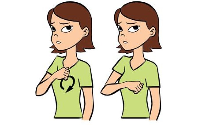sign language sorry