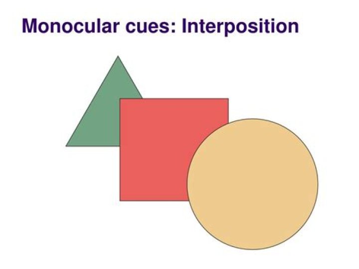 the monocular cue of interposition