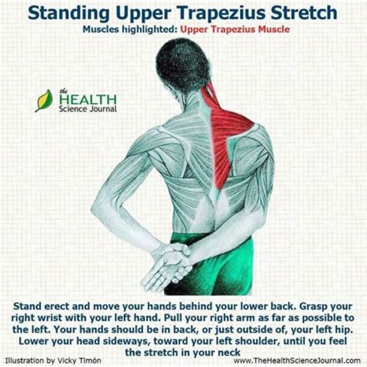 trapezius muscle stretch