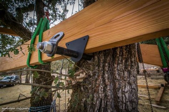 treehouse tab