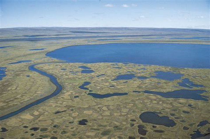 tundra precipitation