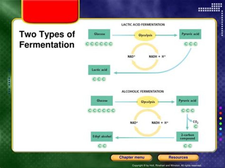 two types of fermentation