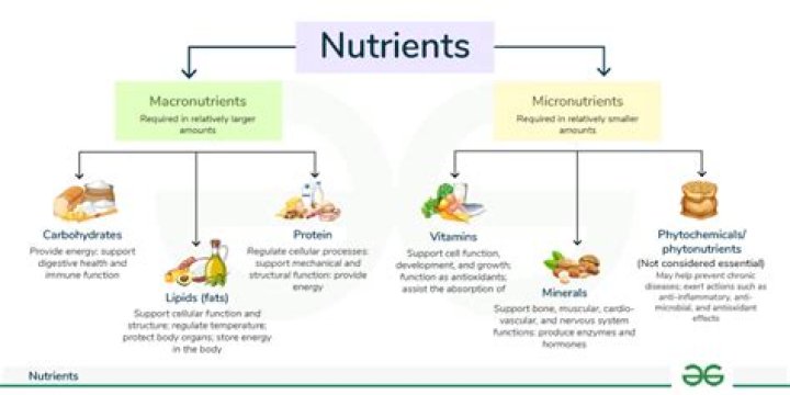types of nutrients