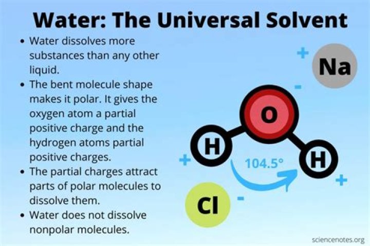 water as a solvent