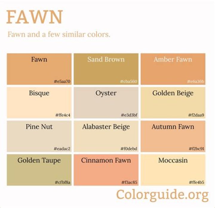 what color is fawn