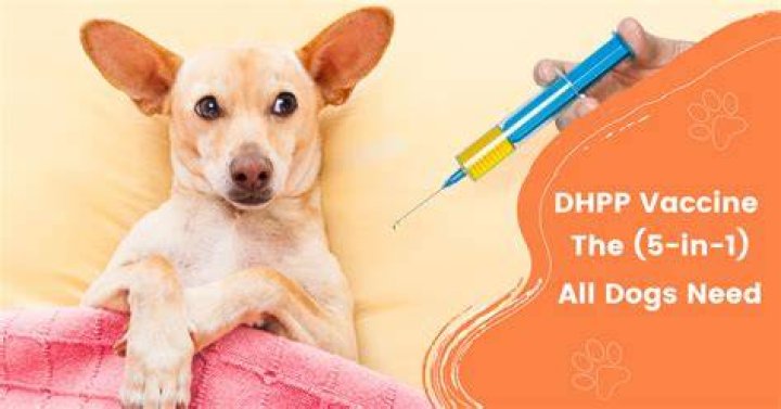 what is dhlpp vaccine for dogs