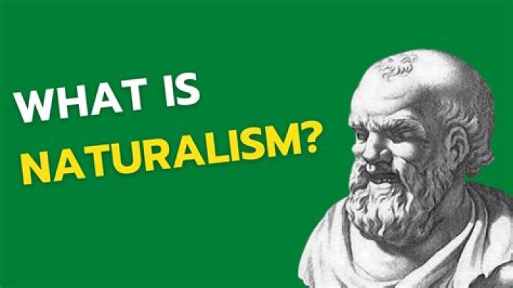 what is naturalism