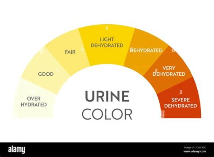 what ph should urine be