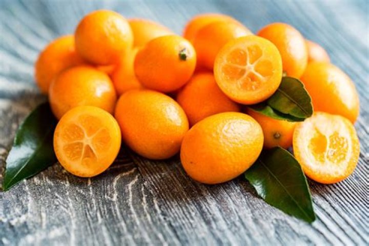 what’s a kumquat