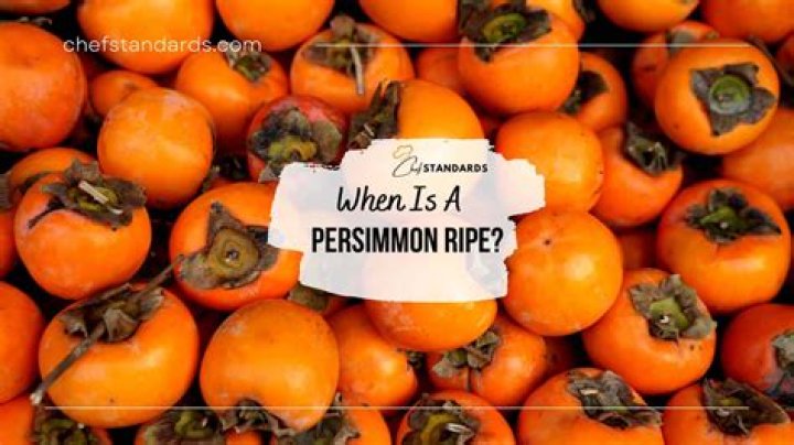 when is a persimmon ripe