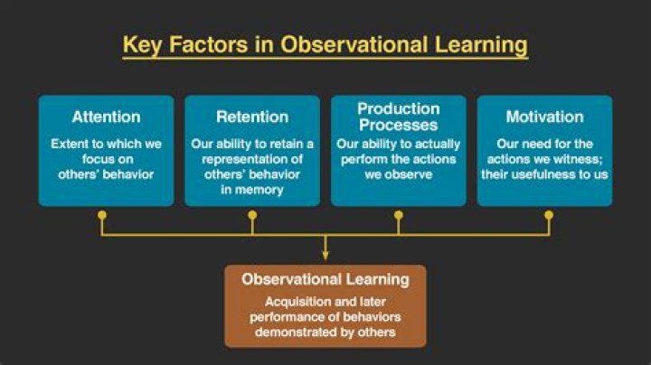 which of the following is an example of observational learning?