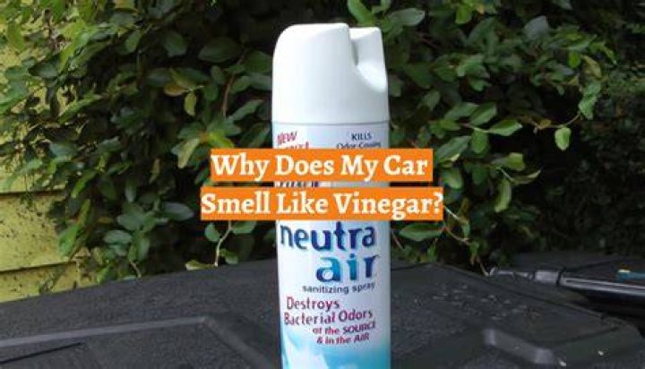 why does my car smell like vinegar