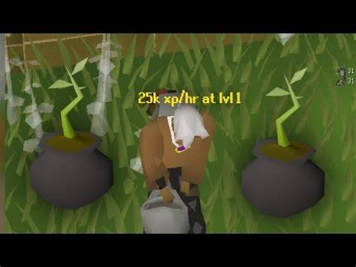 willow branches osrs