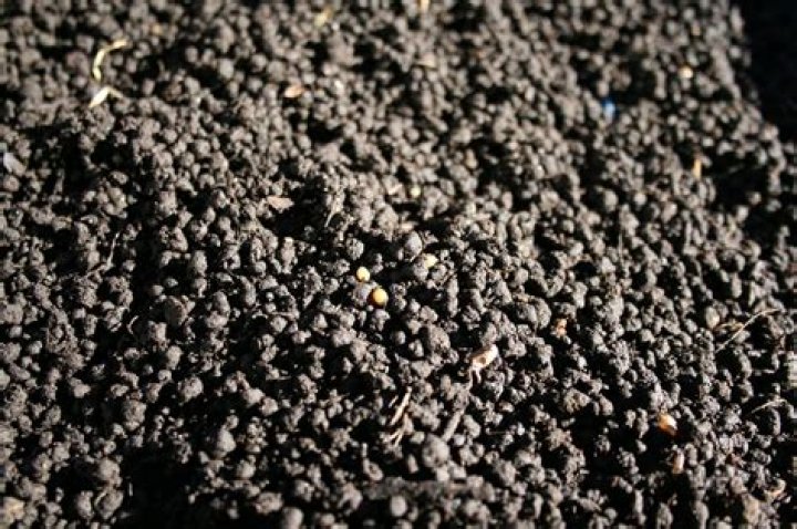 worm poop